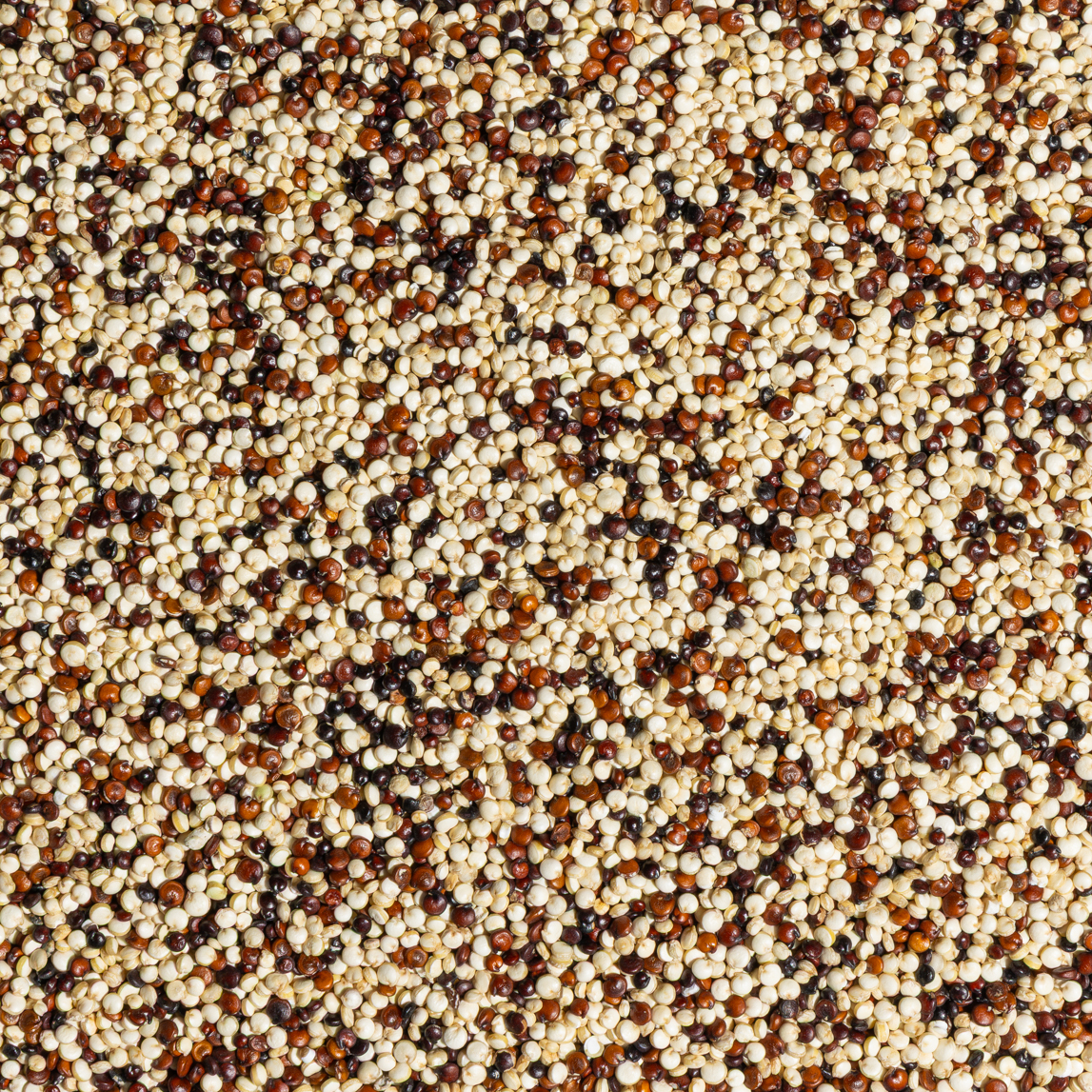 Seeds & Grains – Impulse Ingredients