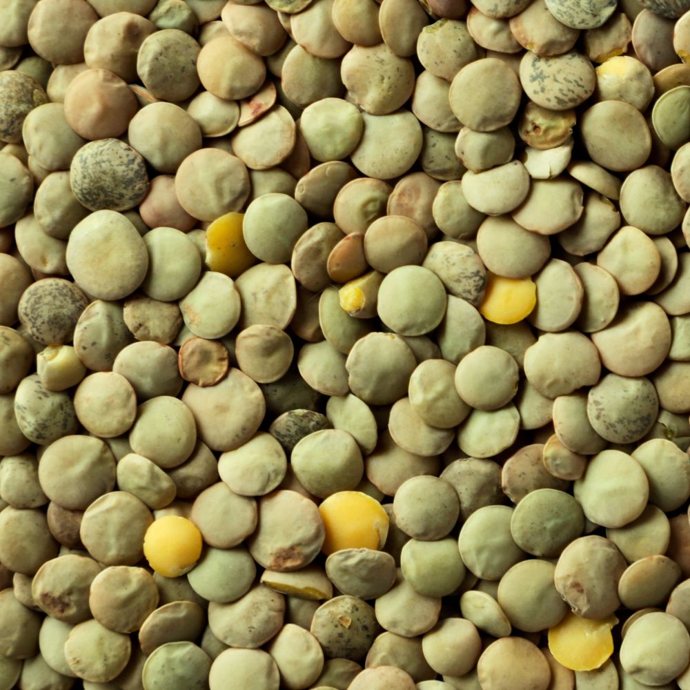 Greenfield Lentils (Green)