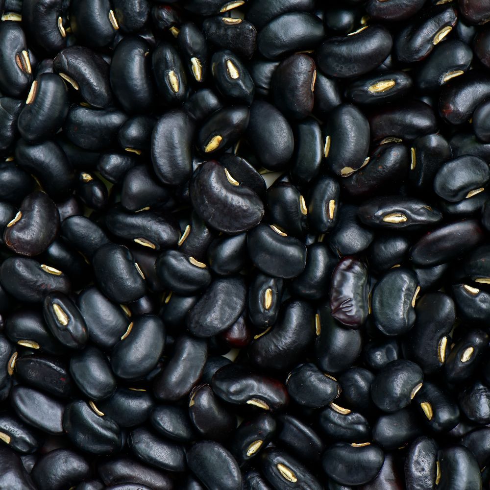 Black Beans