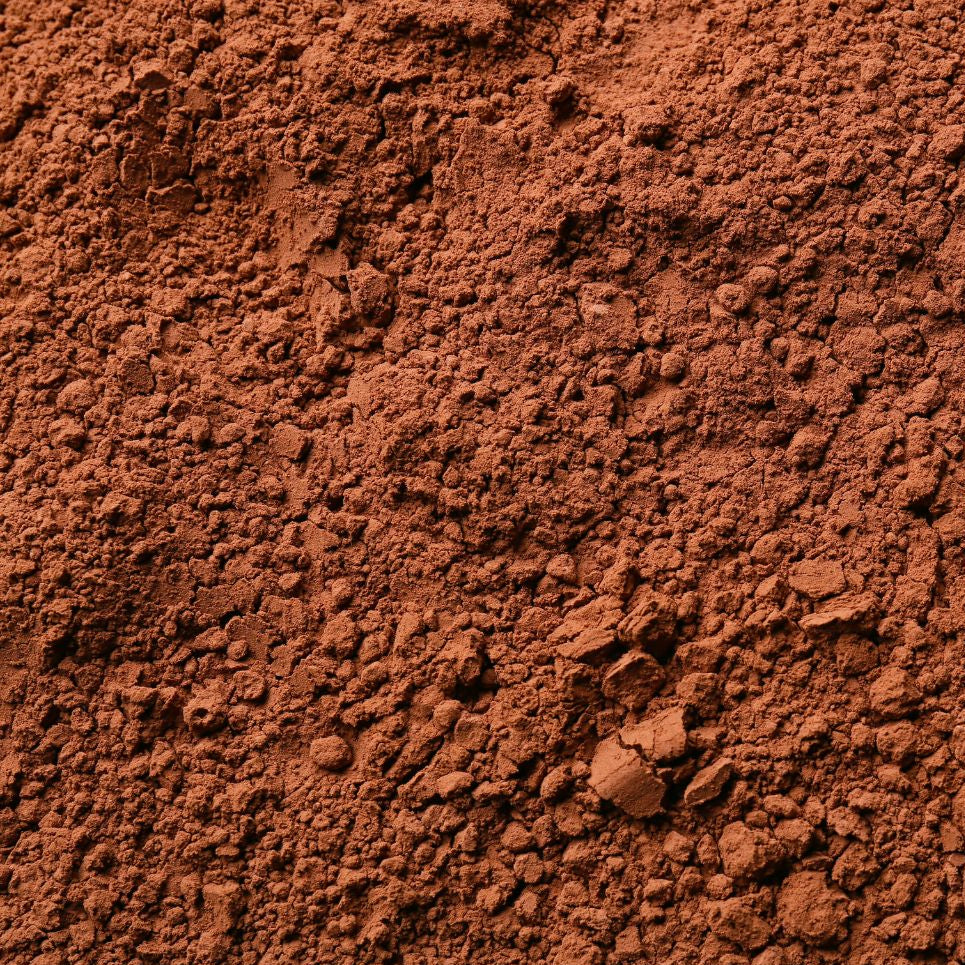 Cacao Powder (Alkalized)