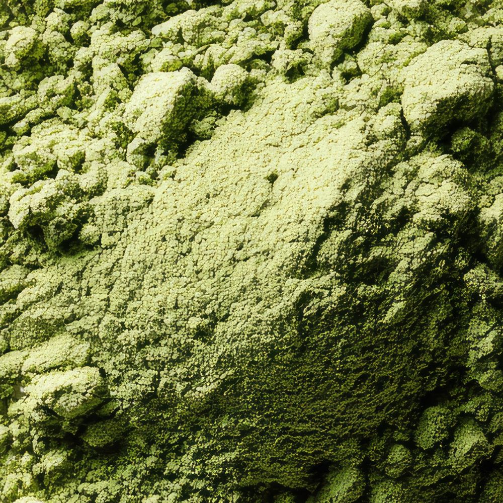 Mung Bean Protein (80%)