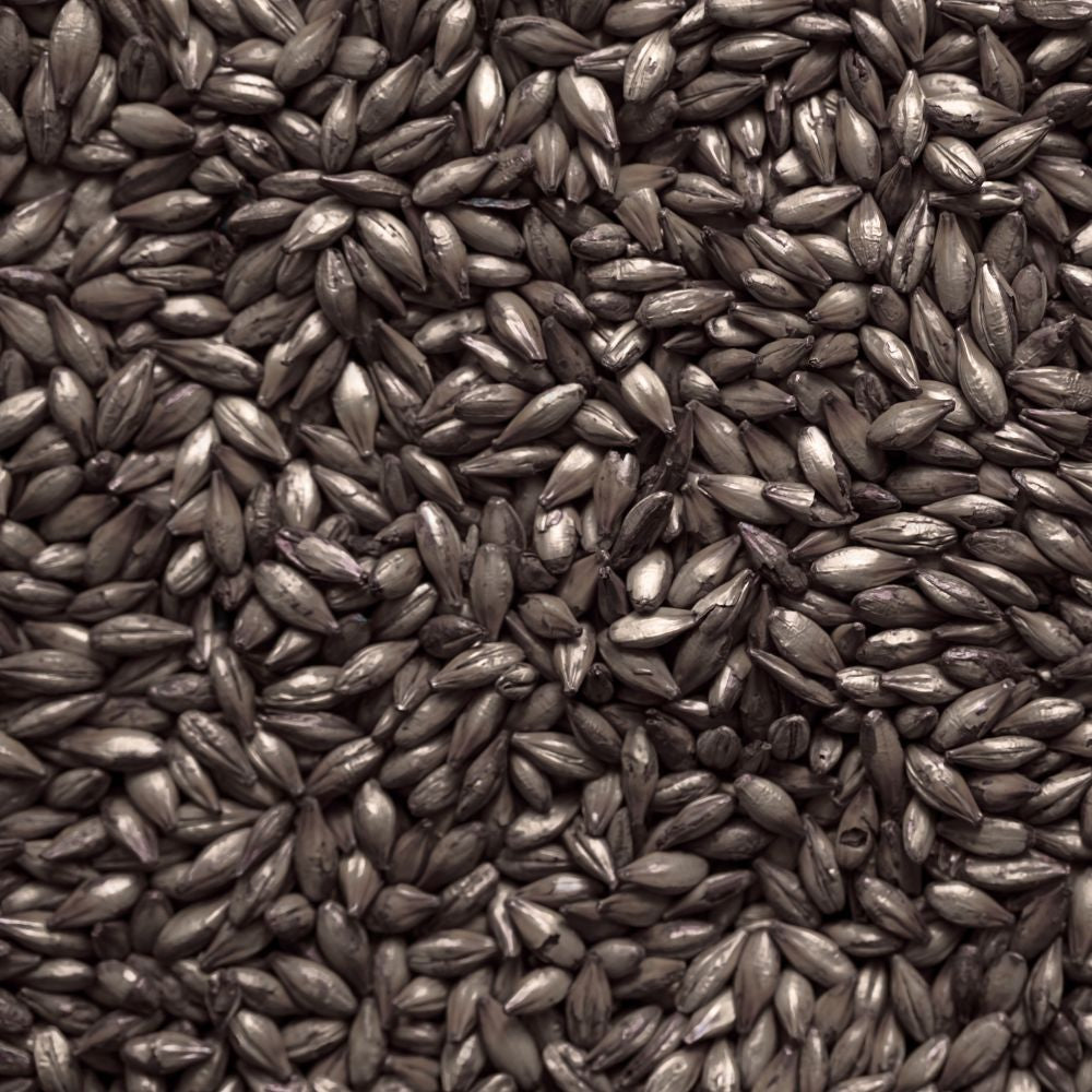 Black Barley