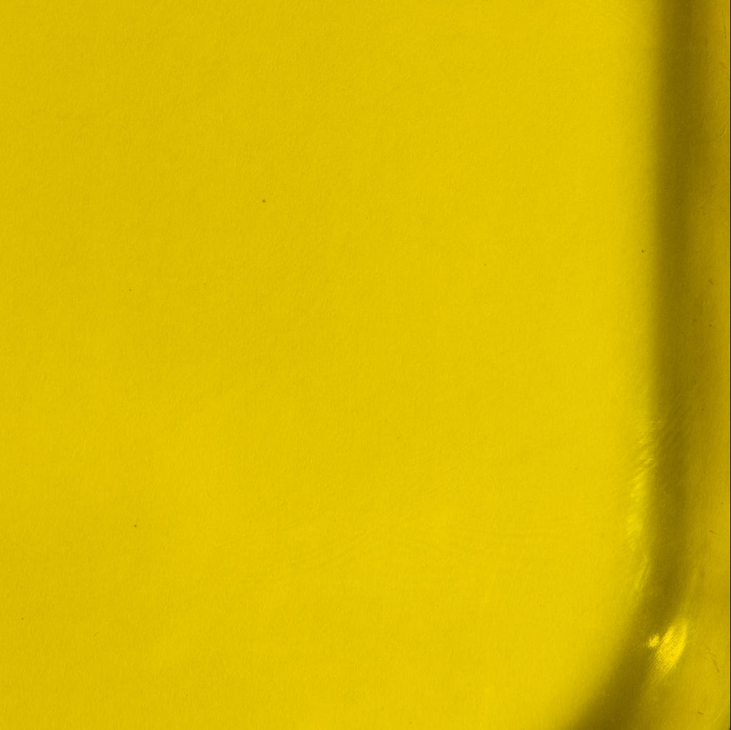 Chia Oil
