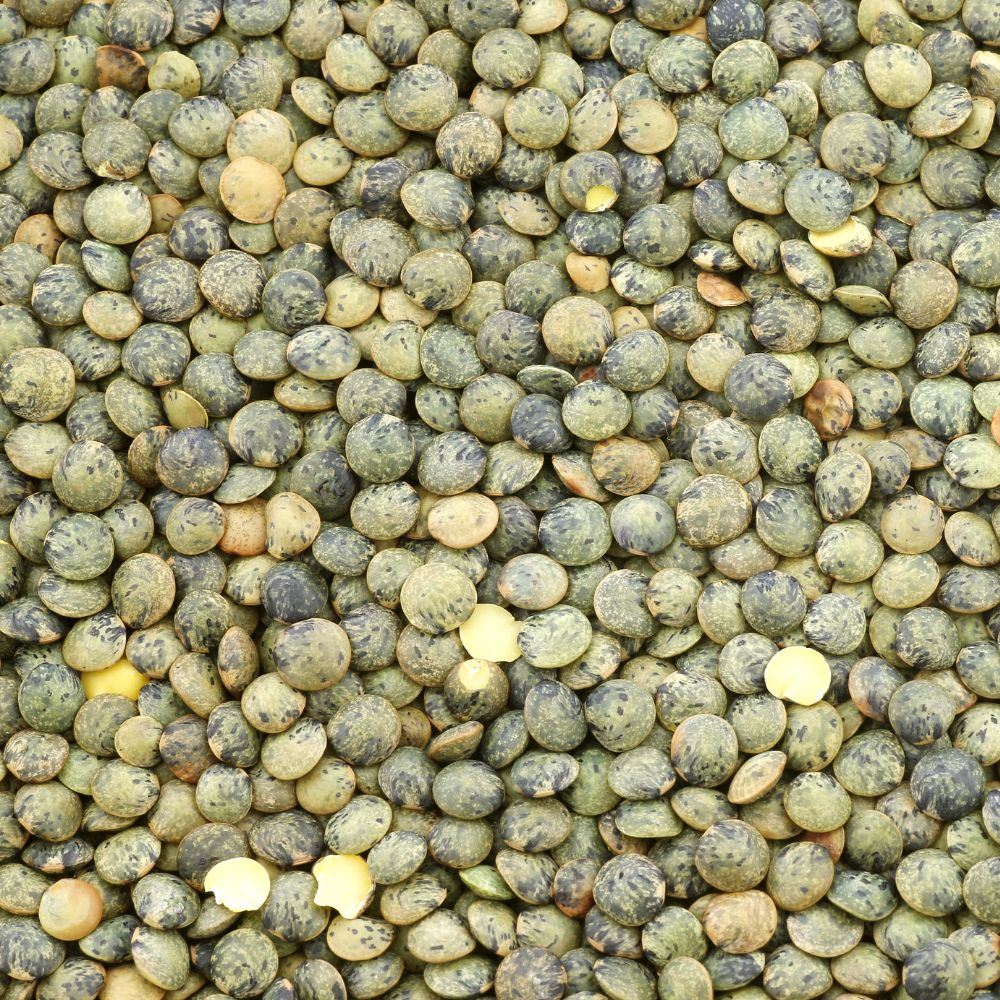 French Green Lentils