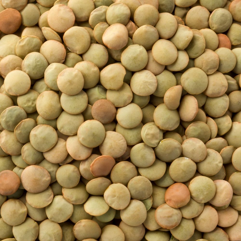 Giant Green Lentils