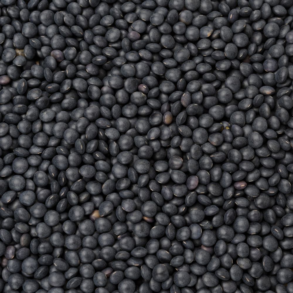 Black Lentils (Mt Byron)