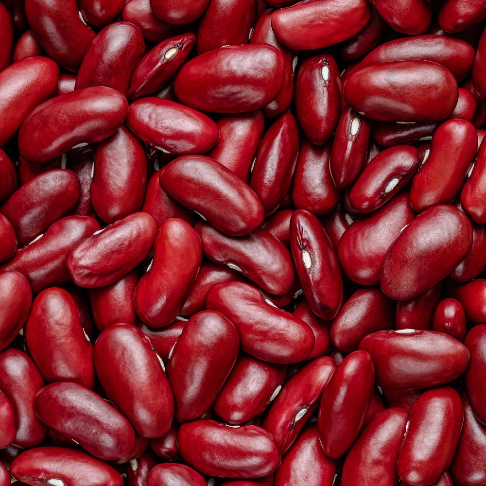 Dark Red Kidney Beans