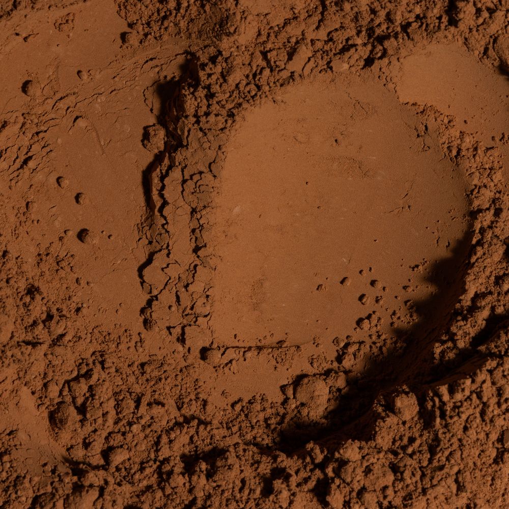 Cacao Powder