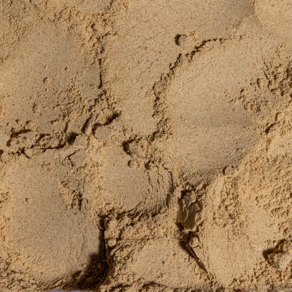 Golden Linseed Protein Powder