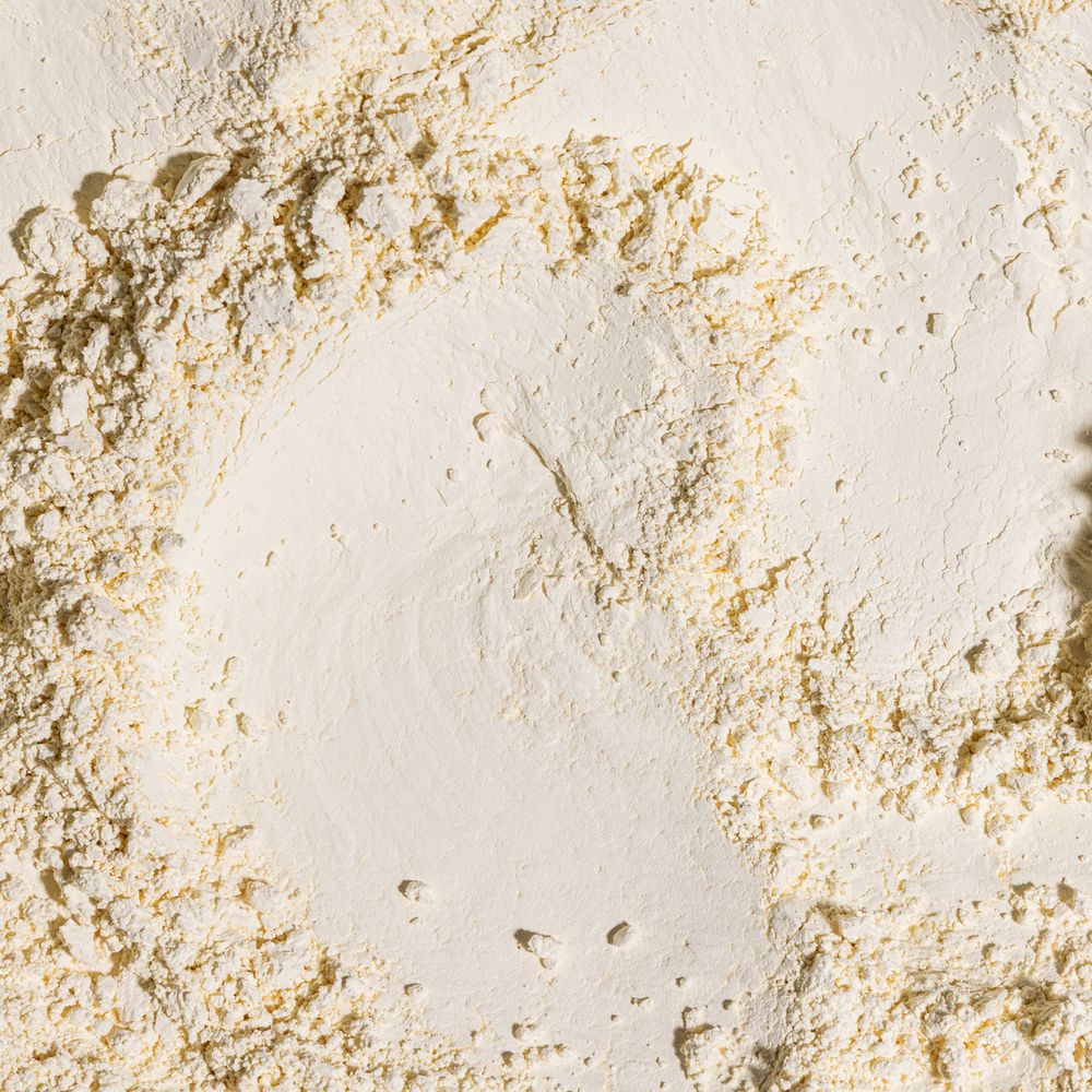 Lentil Protein Powder