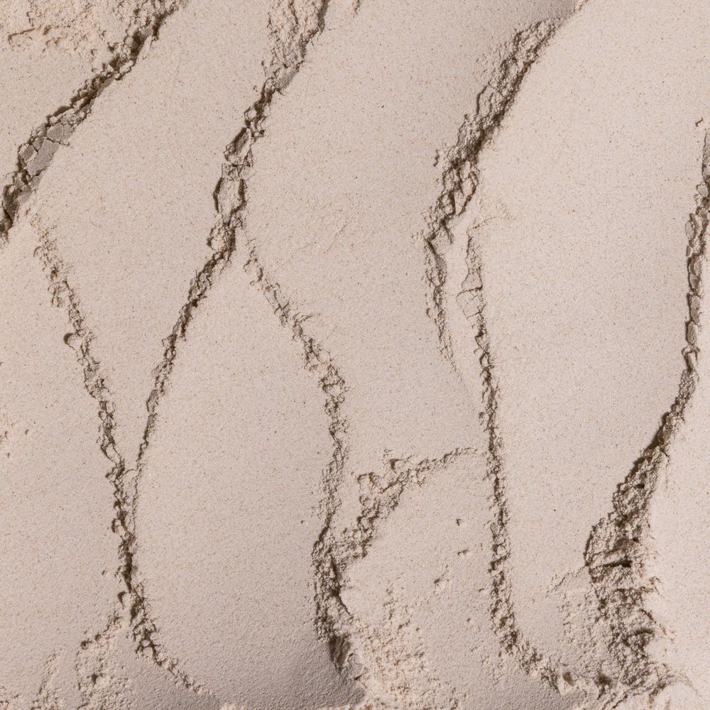 Psyllium Husk Powder