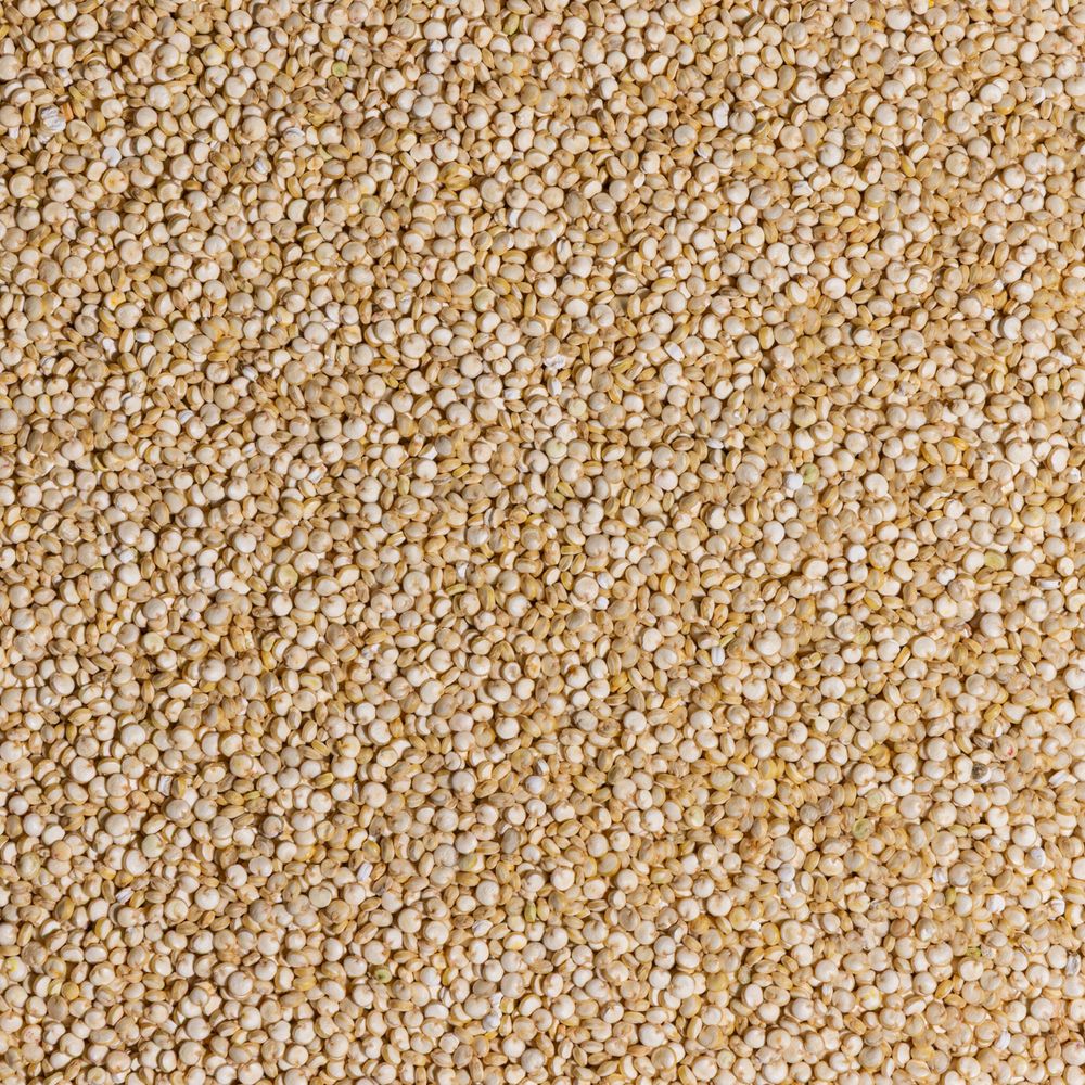 White Quinoa