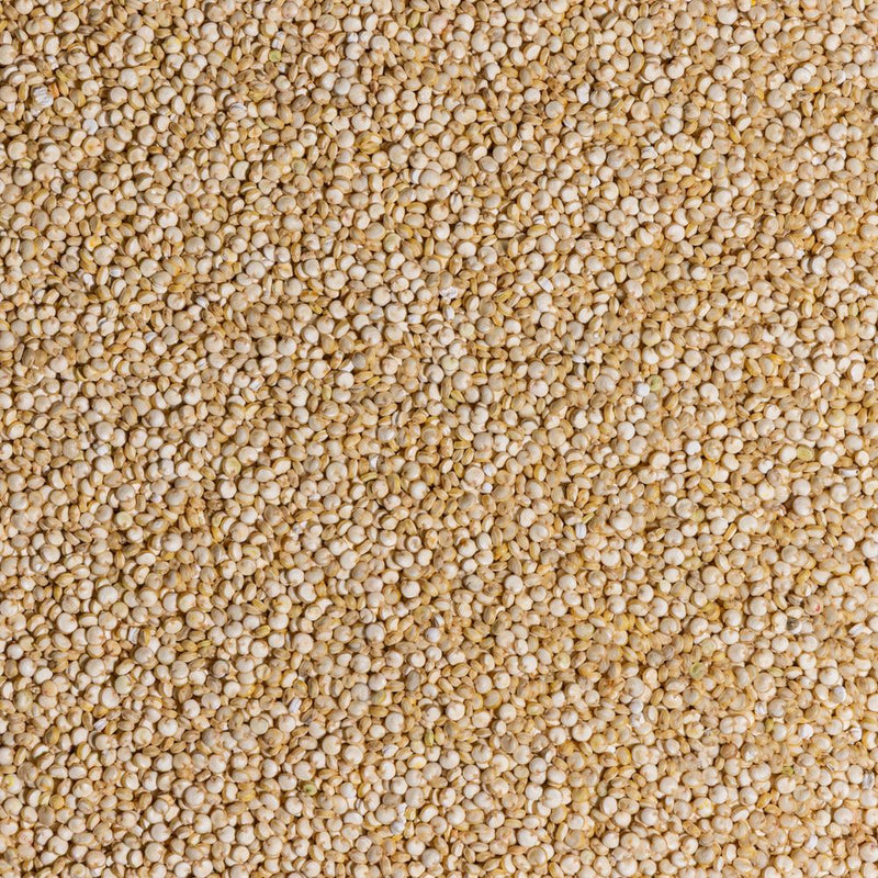 White Quinoa