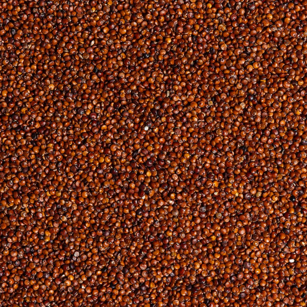 Red Quinoa