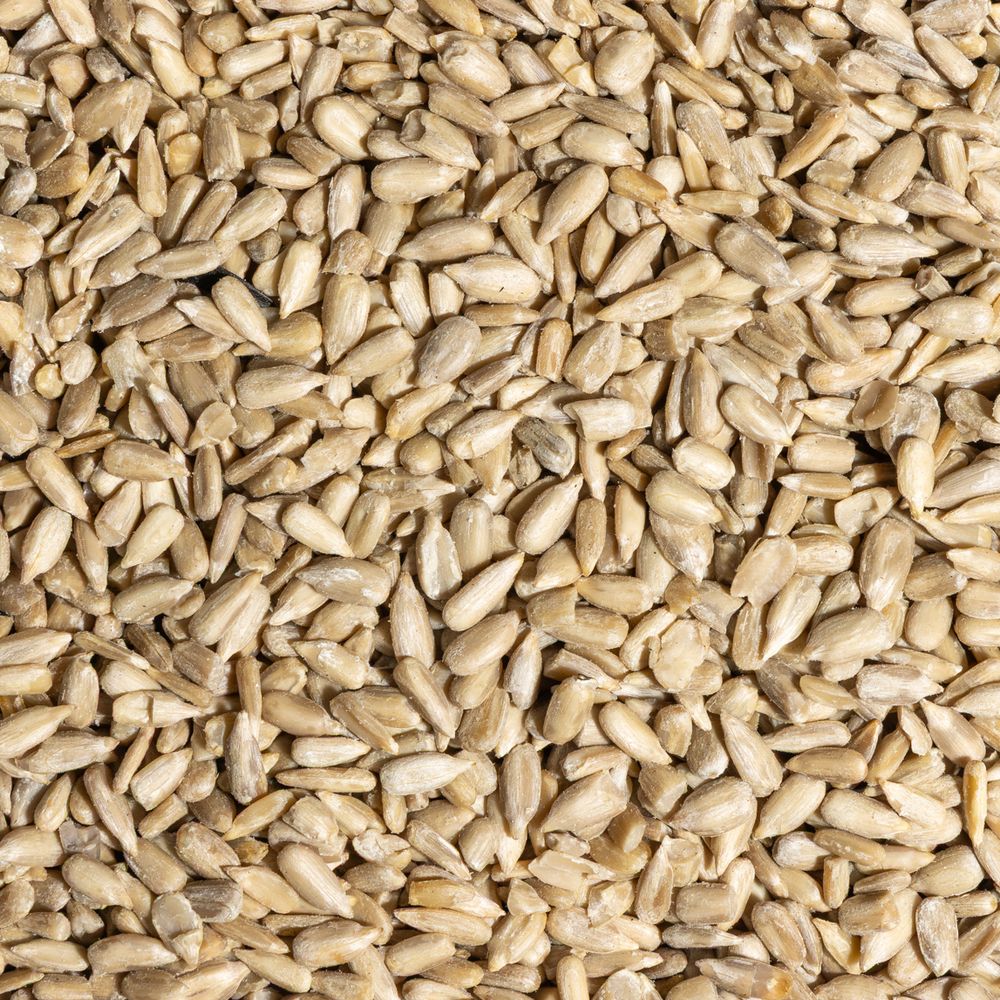 Sunflower Kernels