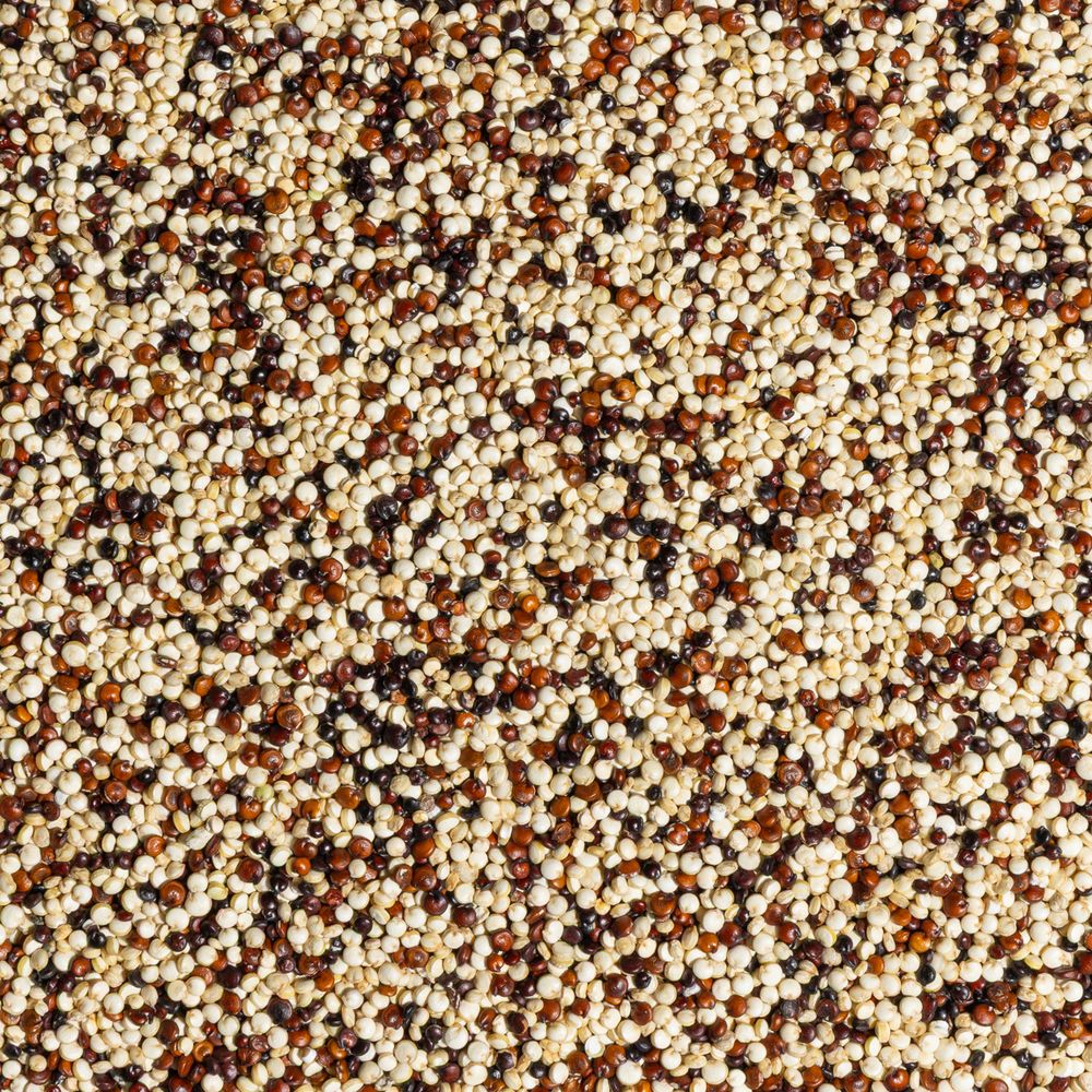 Tri-colour Quinoa