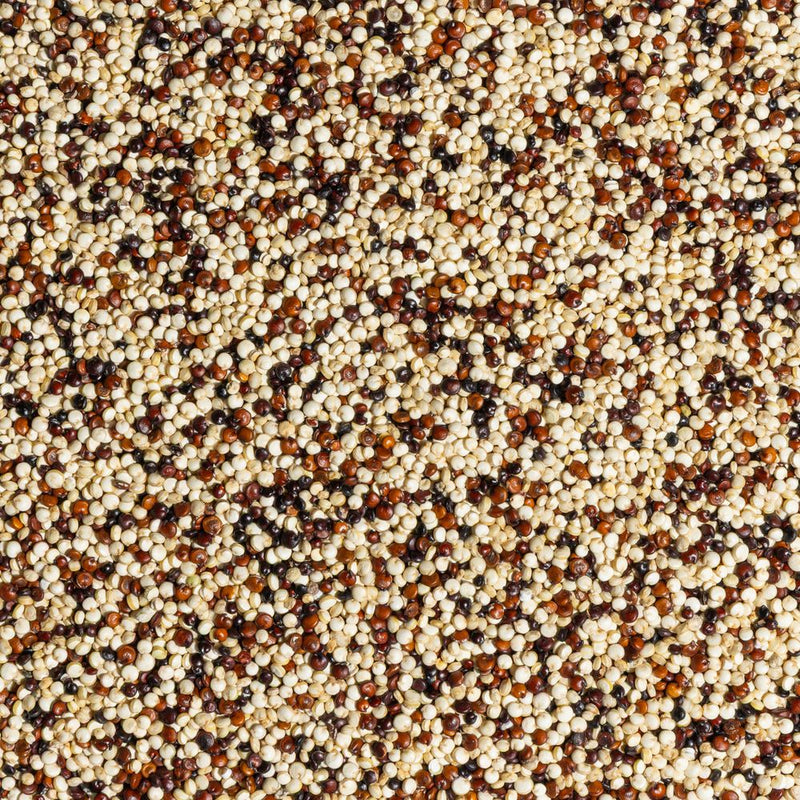 Tri-colour Quinoa