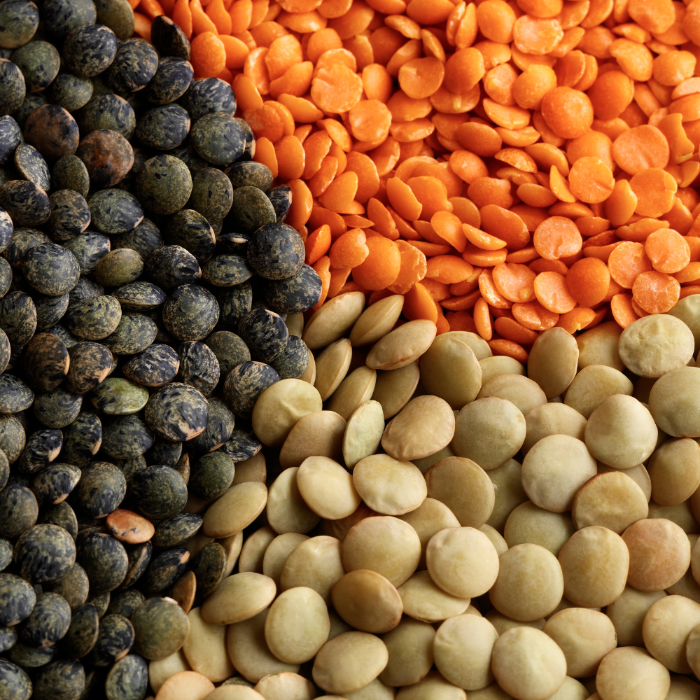 Black Lentils (Mt Byron)